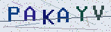 Anti-spam code *