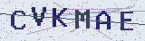 Anti-spam code *