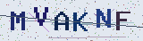 Anti-spam code *