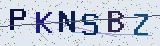 Anti-spam code *