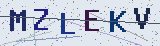 Anti-spam code *