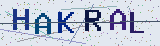Anti-spam code *