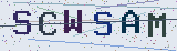 Anti-spam code *