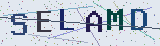 Anti-spam code *