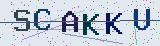 Anti-spam code *