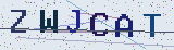 Anti-spam code *