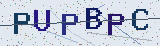 Anti-spam code *