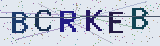 Anti-spam code *