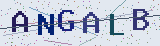 Anti-spam code *