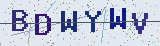 Anti-spam code *