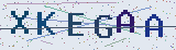 Anti-spam code *