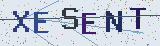 Code anti-spam *