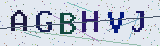 Anti-spam code *