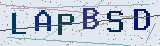 Anti-spam code *