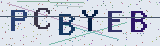 Anti-spam code *