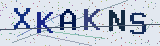 Anti-spam code *