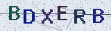 Anti-spam code *