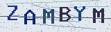 Anti-spam code *