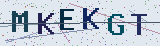 Anti-spam code *