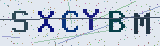 Anti-spam code *