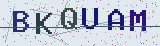 Anti-spam code *