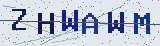 Anti-spam code *