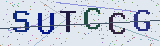 Anti-spam code *