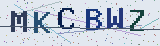 Anti-spam code *