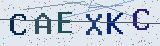Anti-spam code *