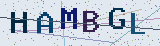 Anti-spam code *