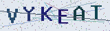 Anti-spam code *
