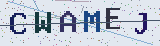 Anti-spam code *