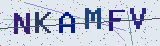Anti-spam code *