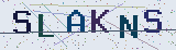 Anti-spam code *