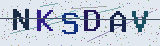 Anti-spam code *
