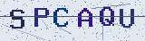Anti-spam code *
