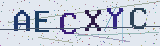 Anti-spam code *