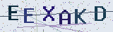 Anti-spam code *