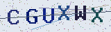 Anti-spam code *