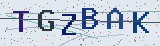 Anti-spam code *
