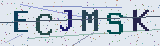 Anti-spam code *
