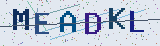 Anti-spam code *