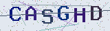 Anti-spam code *
