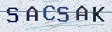 Anti-spam code *
