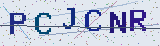 Anti-spam code *