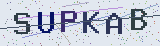 Anti-spam code *