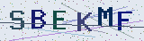Anti-spam code *