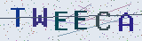 Anti-spam code *