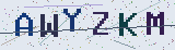 Anti-spam code *
