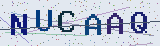 Anti-spam code *